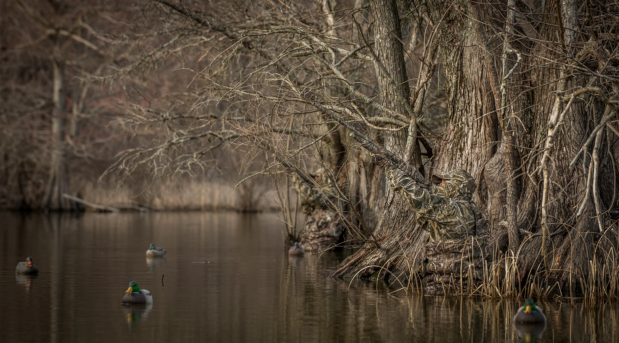 DSC_5112.jpg