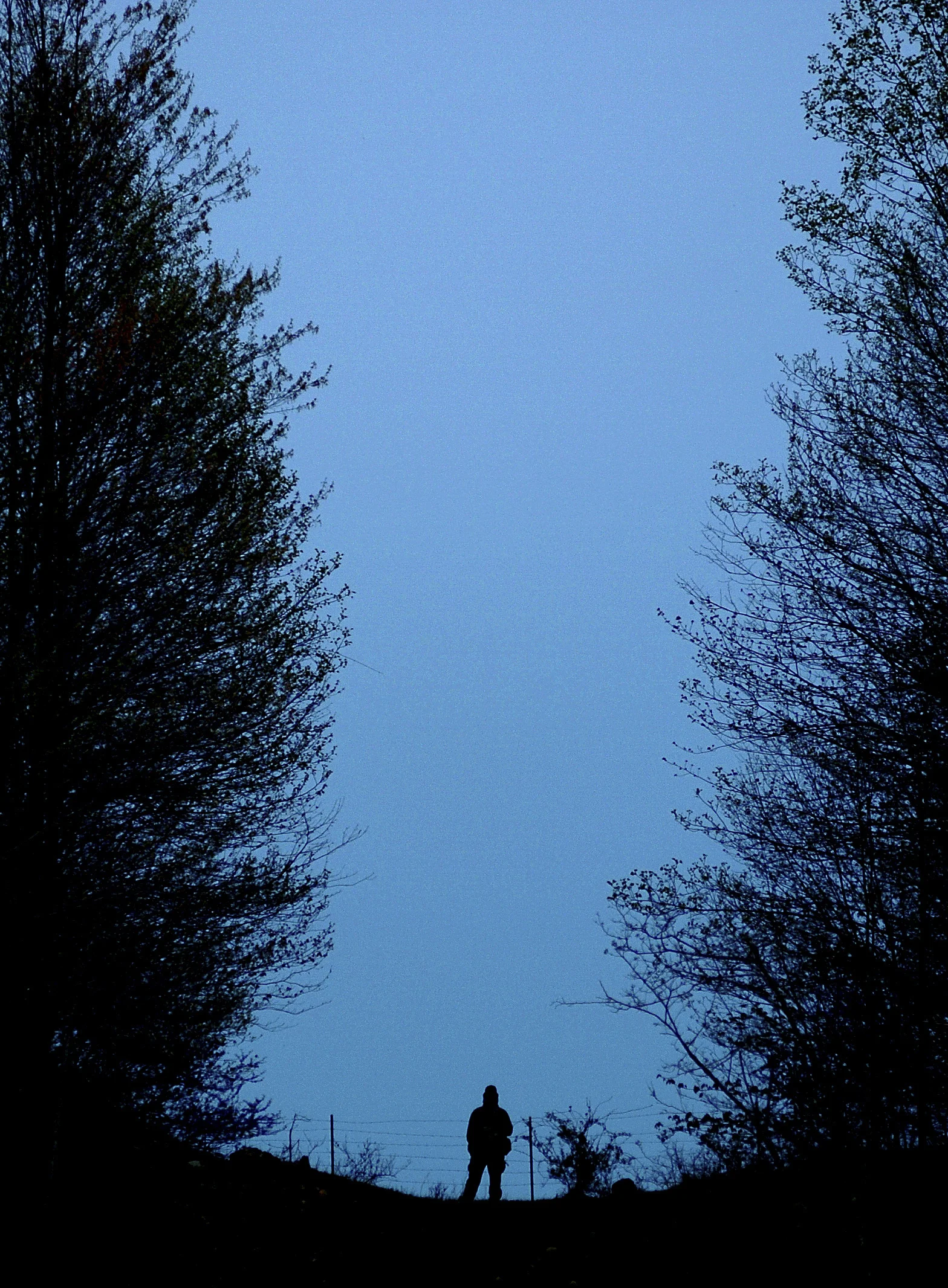 DSC_0102 copy.jpg