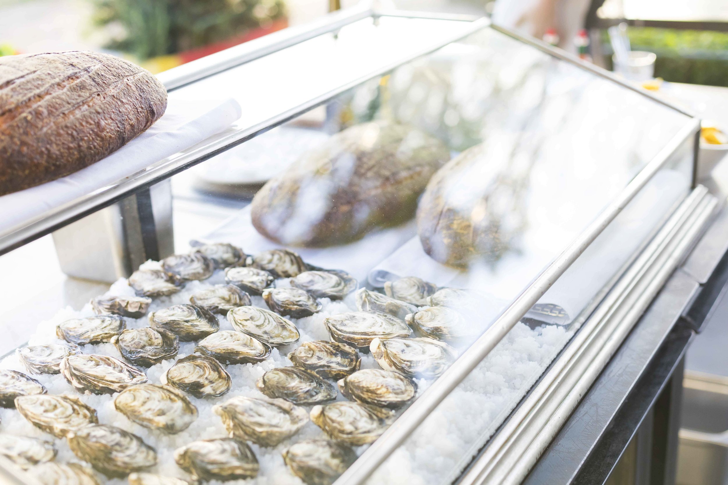  Photo by  Mel D. Weddings  