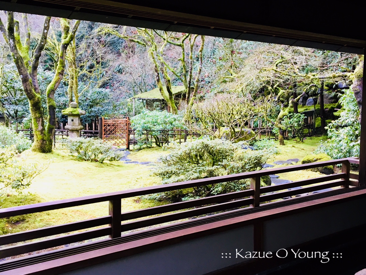 Portland Japanese Garden :::