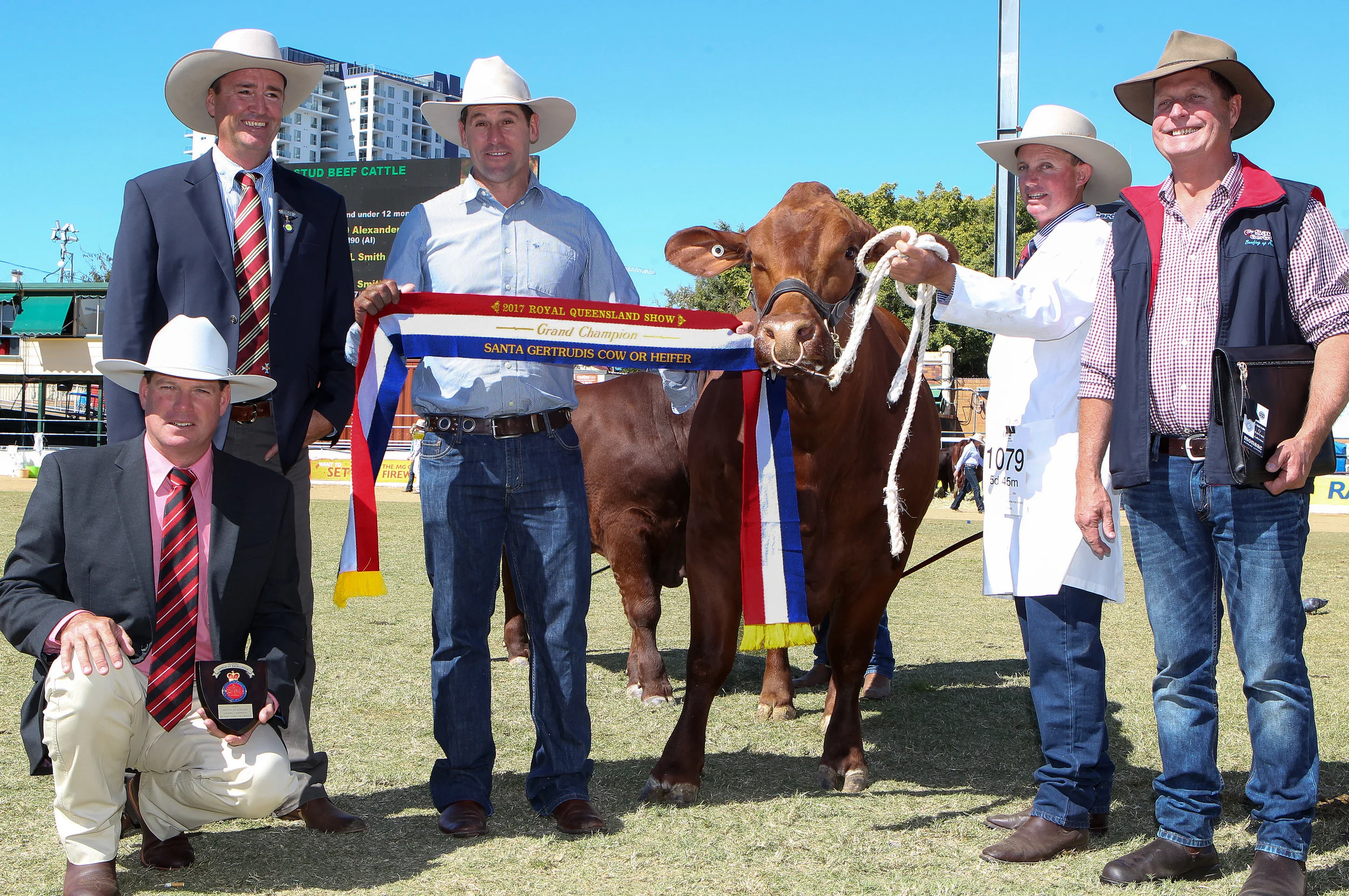 Yarrawonga Escort K425- Grand Champion Cow awarded the Big S Group trophy and Elders Shield of Excellence. Shield presented by Michael Smith from Elders, with Judge Darren Childs and Andrew Bassingthwaighte, Trophy presented by Glen Holt and cow led by Brendan Emery. 