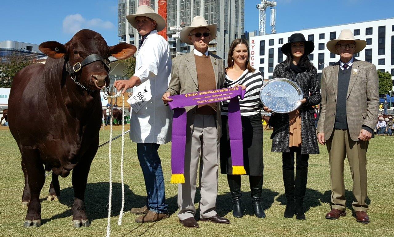 Junior Champion Bull- Yarrawonga Fixer L664 (P) awarded the Eidsvold Station Trophy presented by Anthony Coates and Alice Greenup with Fiona and Alastair Bassingthwaighte. Led by Jacob Wilson.