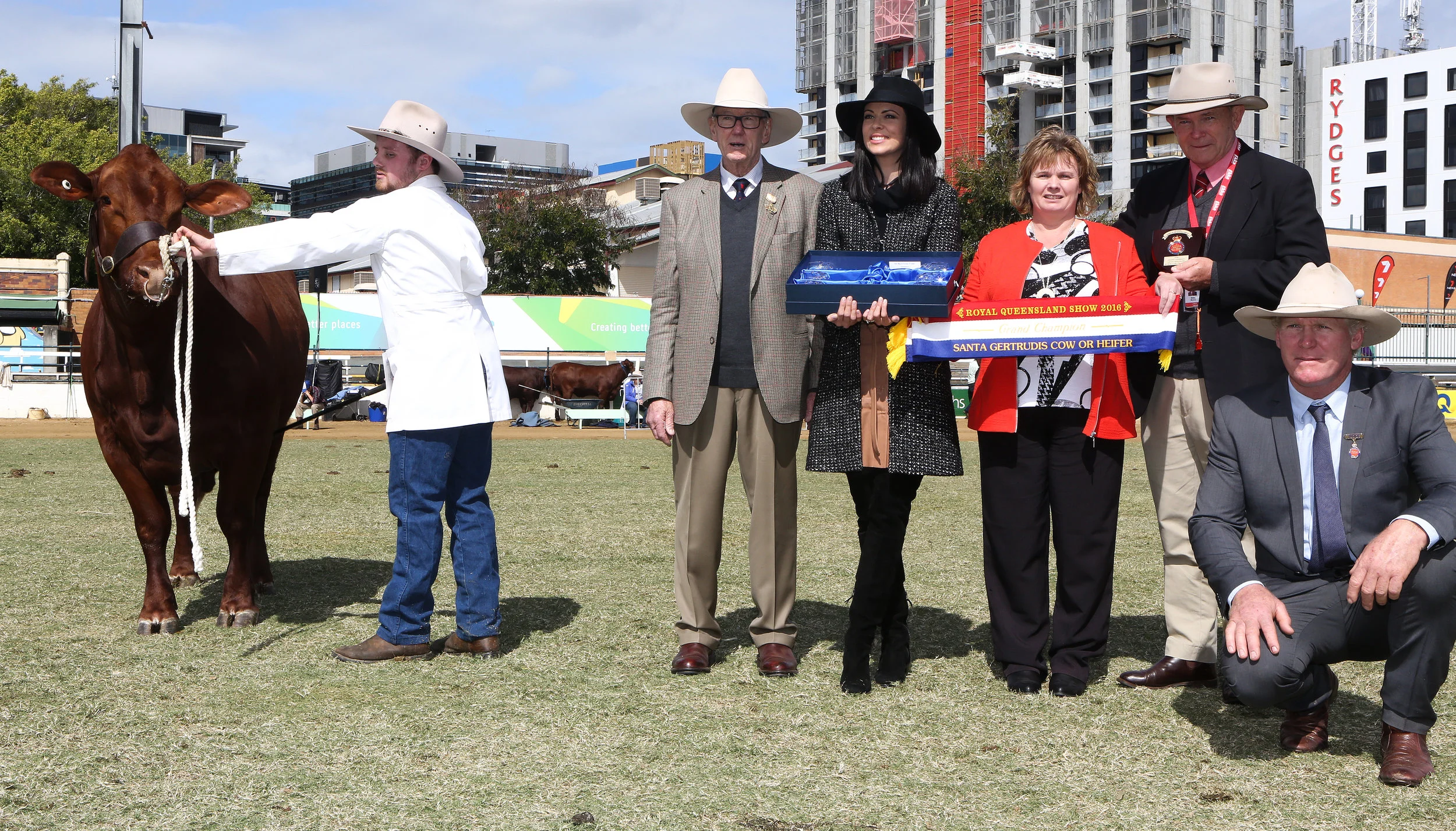 Senior and Grand Champion Cow, Yarrawonga Escort K425 was awarded The Big S Group Trophy presented by Felicity Sham and the Elders Shield of Excellence presented by Blake Munro with Alastair and Fiona Bassingthwaighte and Judge, Ivan Price. 
