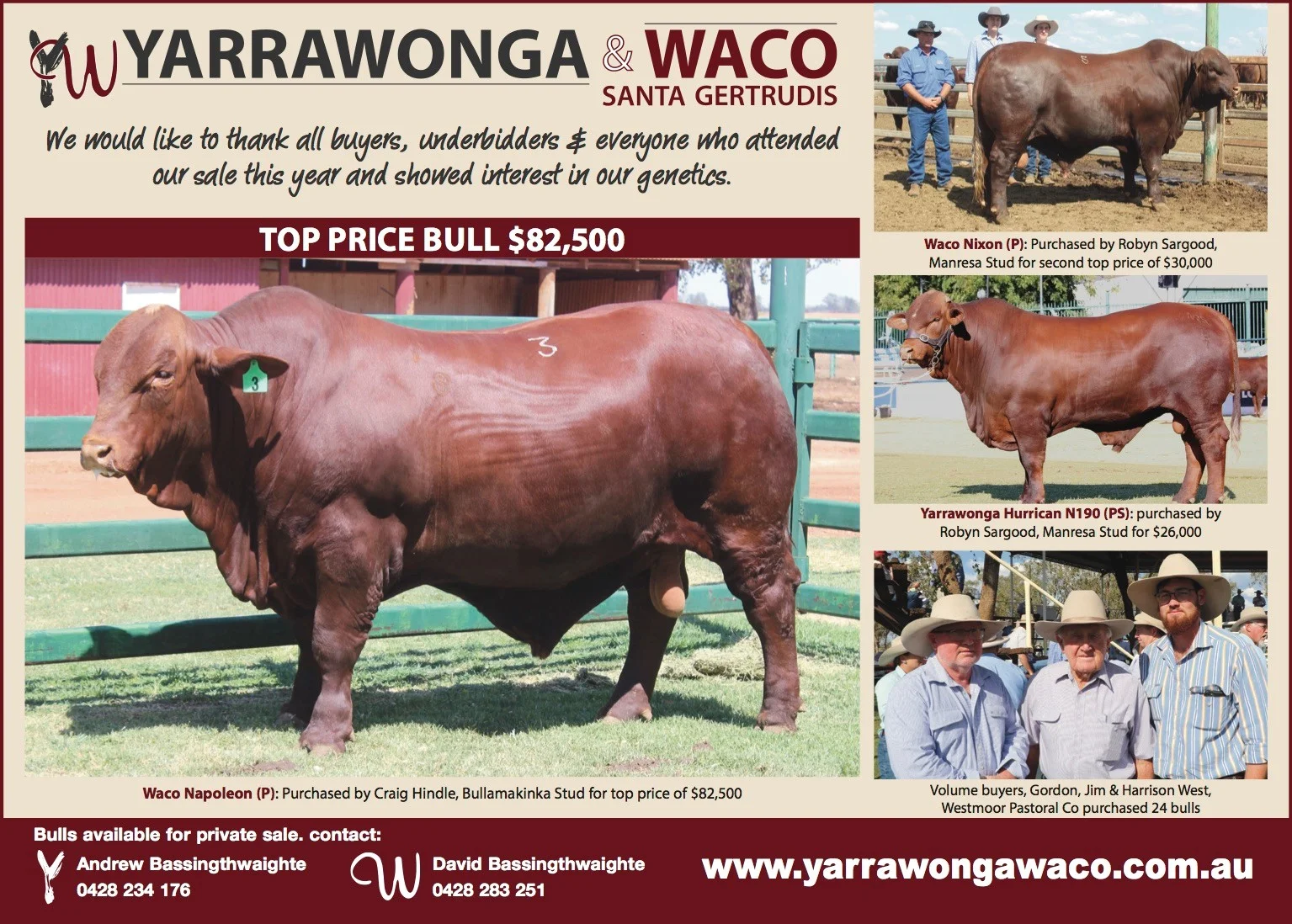 YW QCL Ad Post Sale 2018.jpg