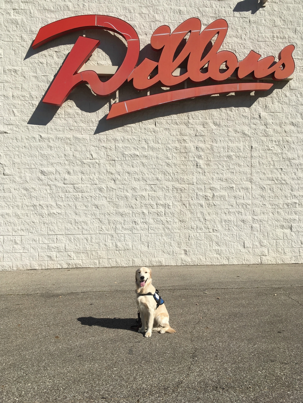 Dillon in front of the grocery store chain he was named after. Photo Courtesy of Julie.
