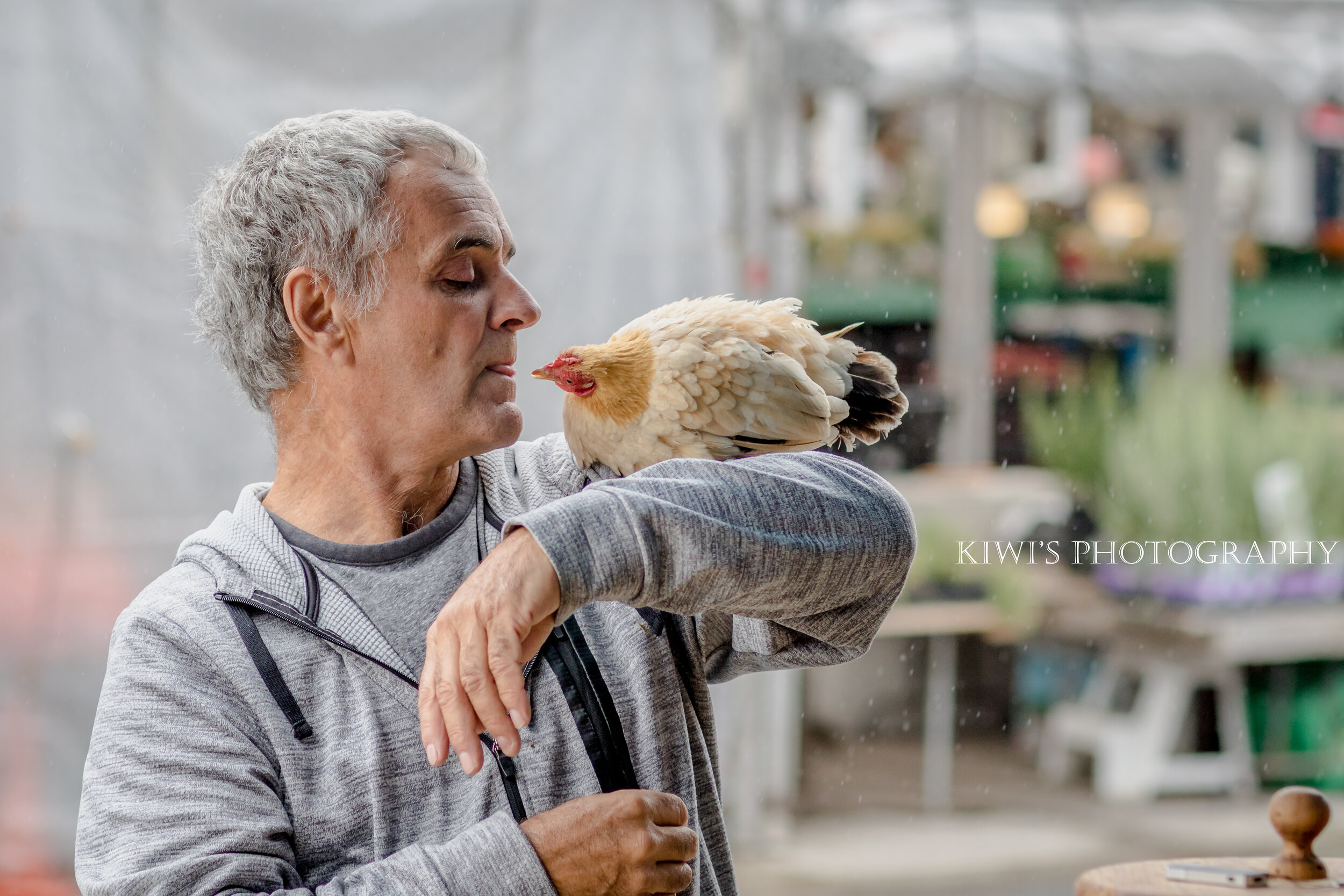 How i met my best friend - claude & Modèle, belgian quail, ottawa byward market