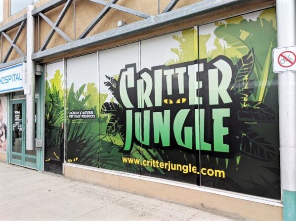 Critter Jungle Ottawa