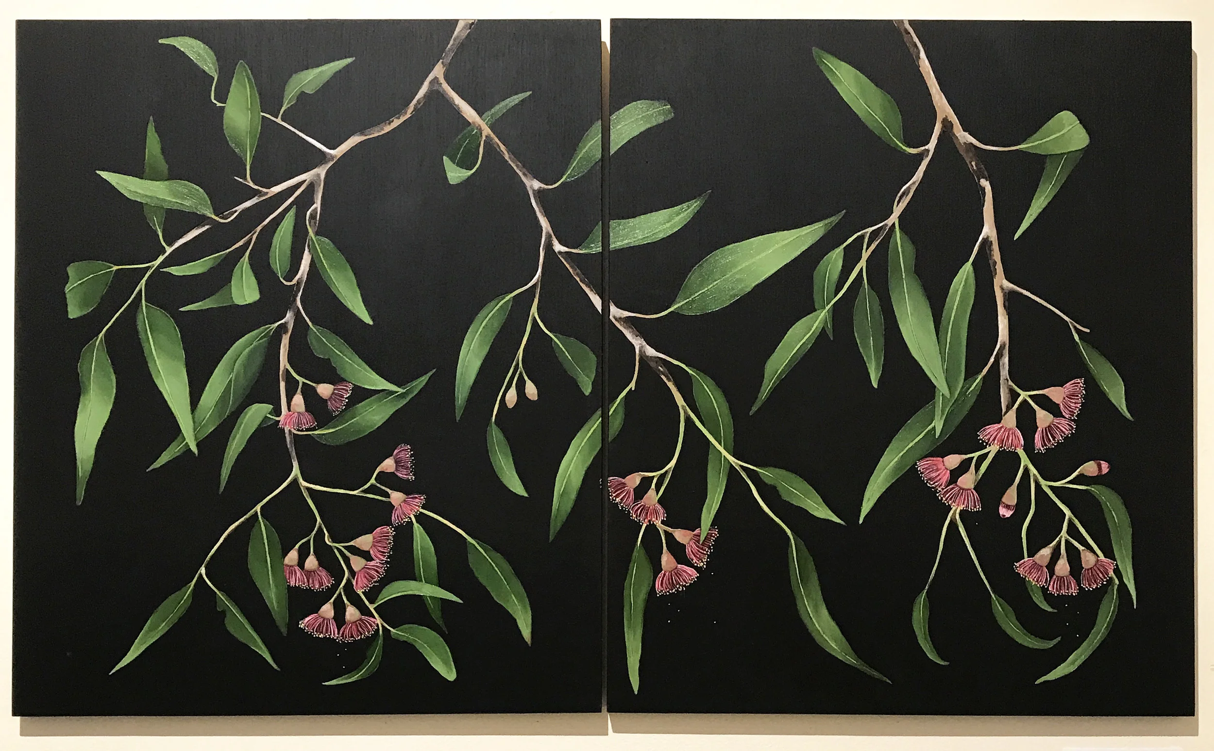 Corymbia - From Beside The Gate
