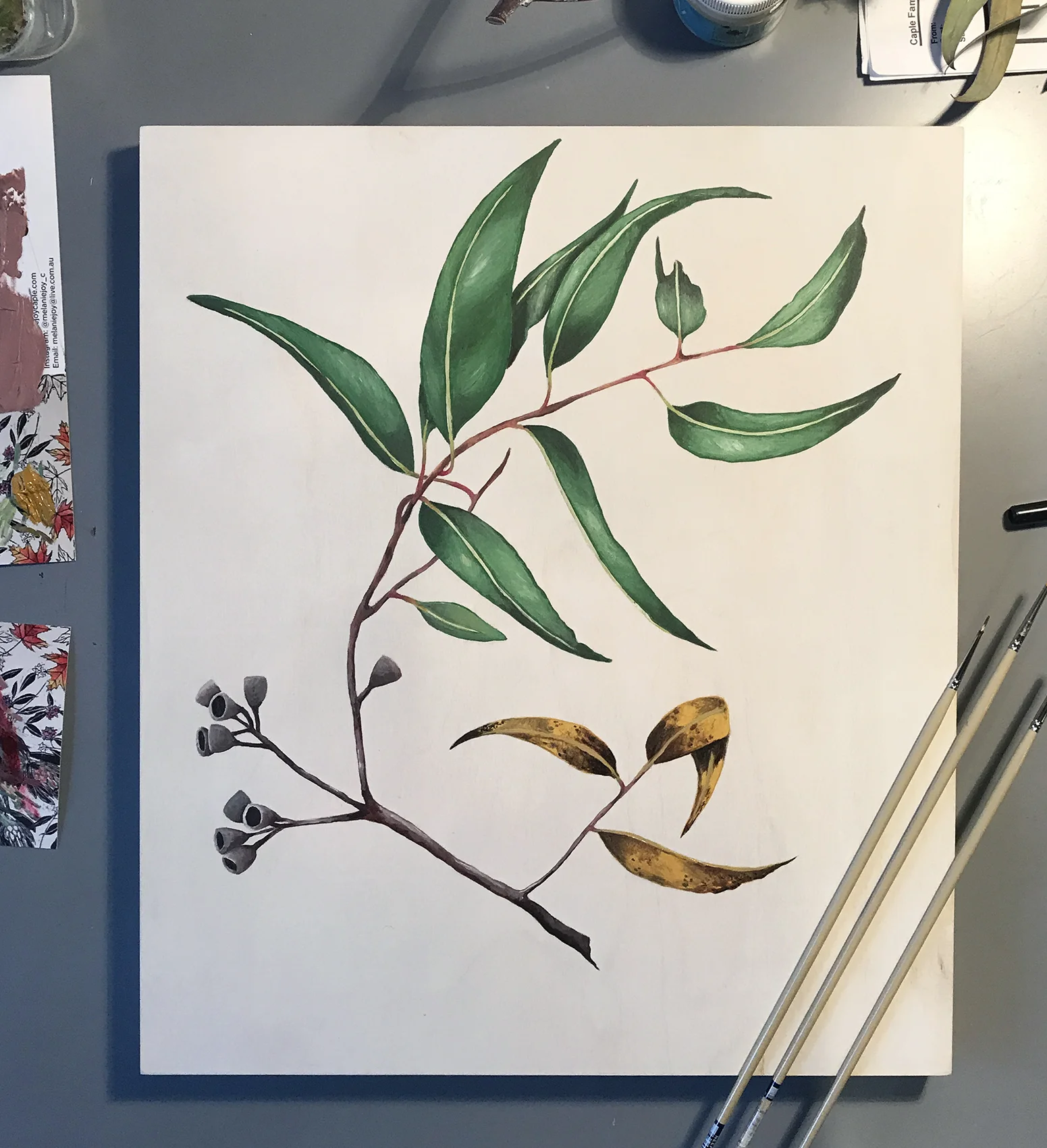 Stolen Ironbark - Nth Fitzroy