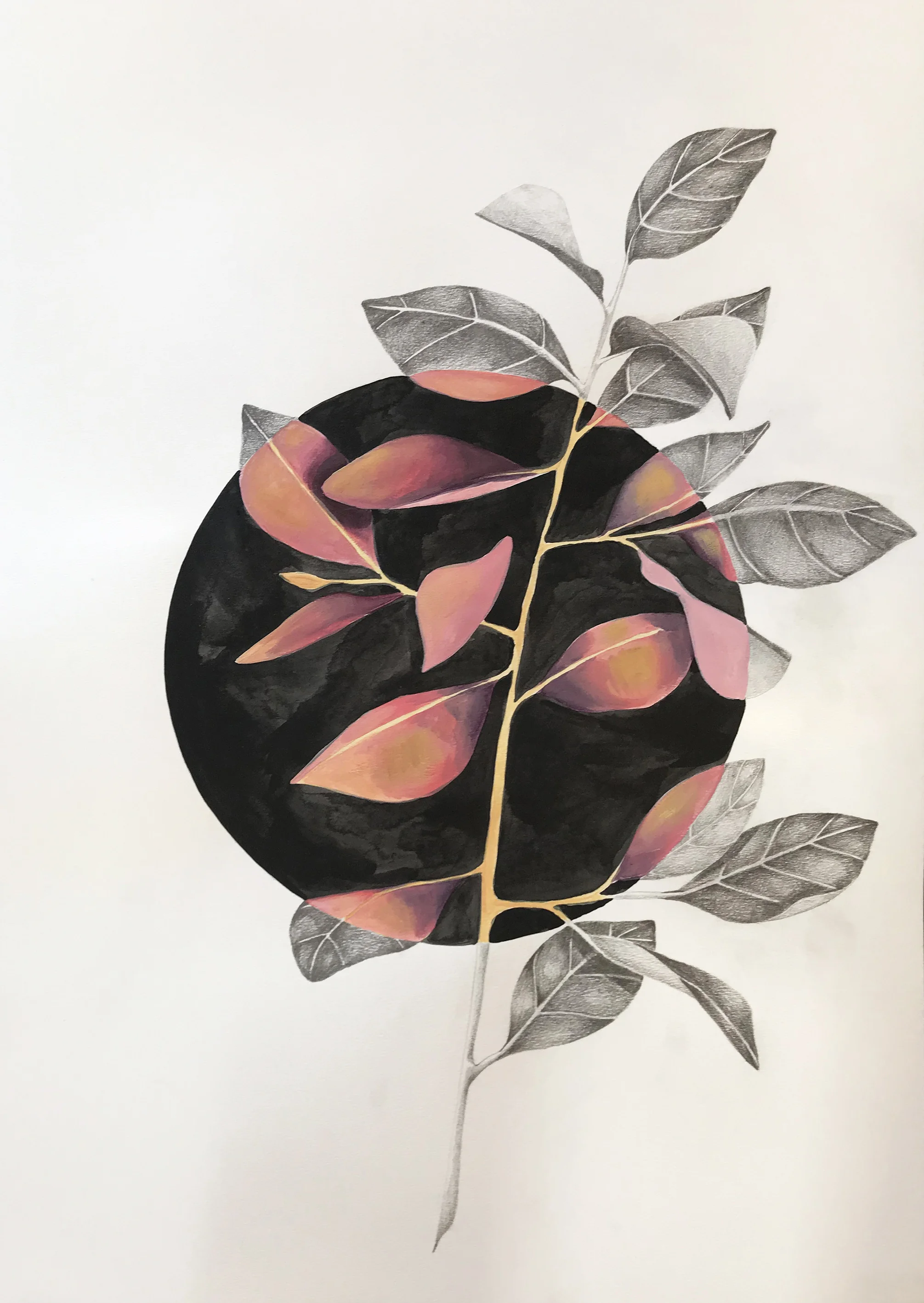 Magnolia Noir