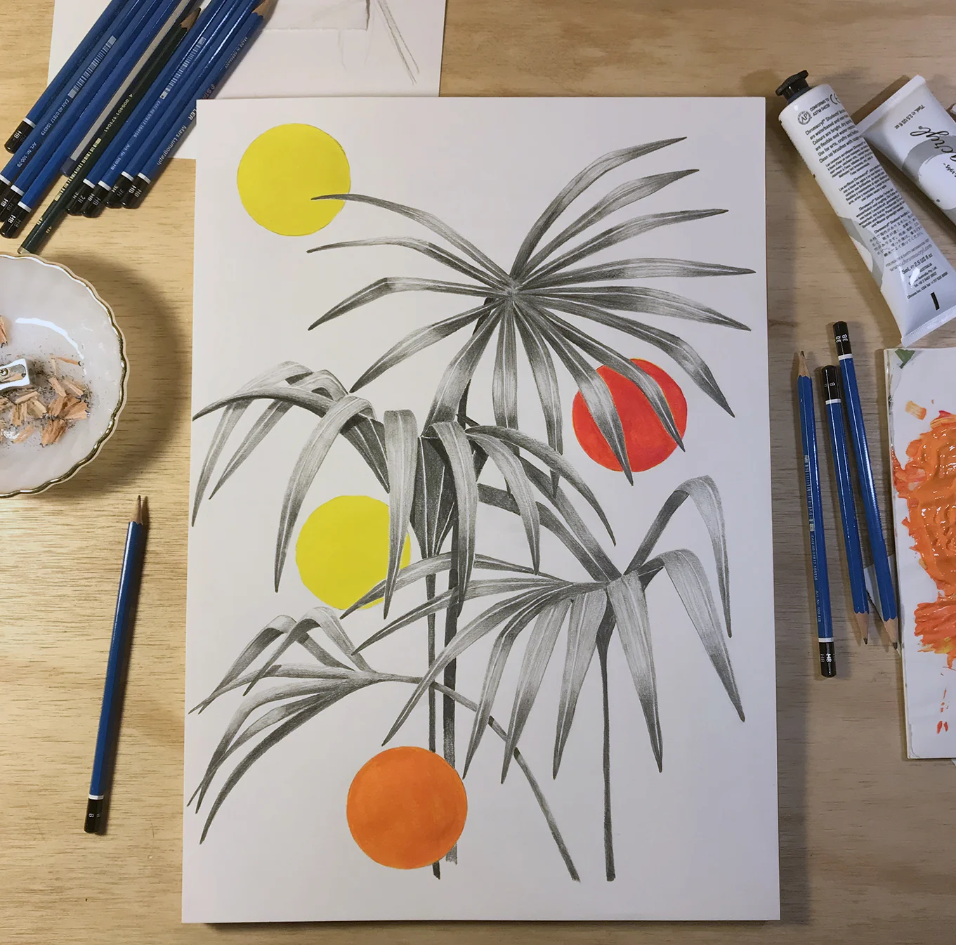 Kentia Palm Pop, 2018