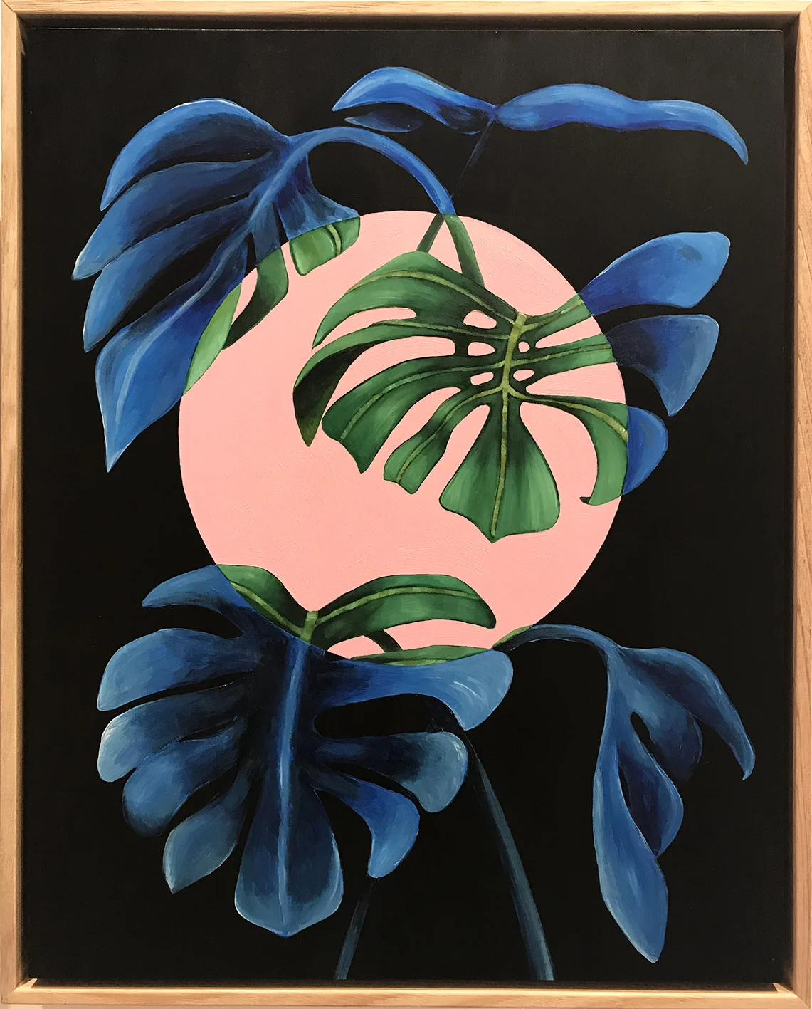 Monstera Blues, 2018