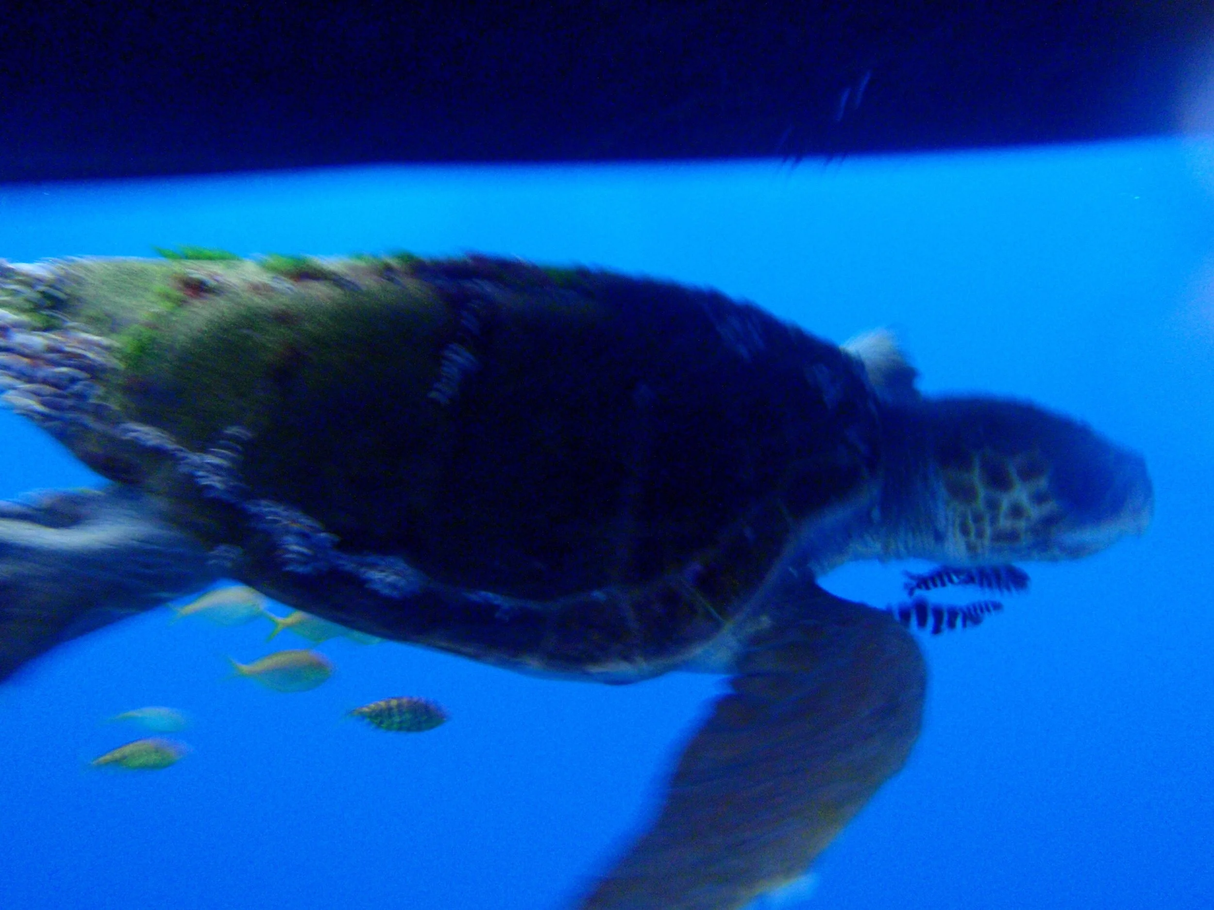 P1070277.JPG