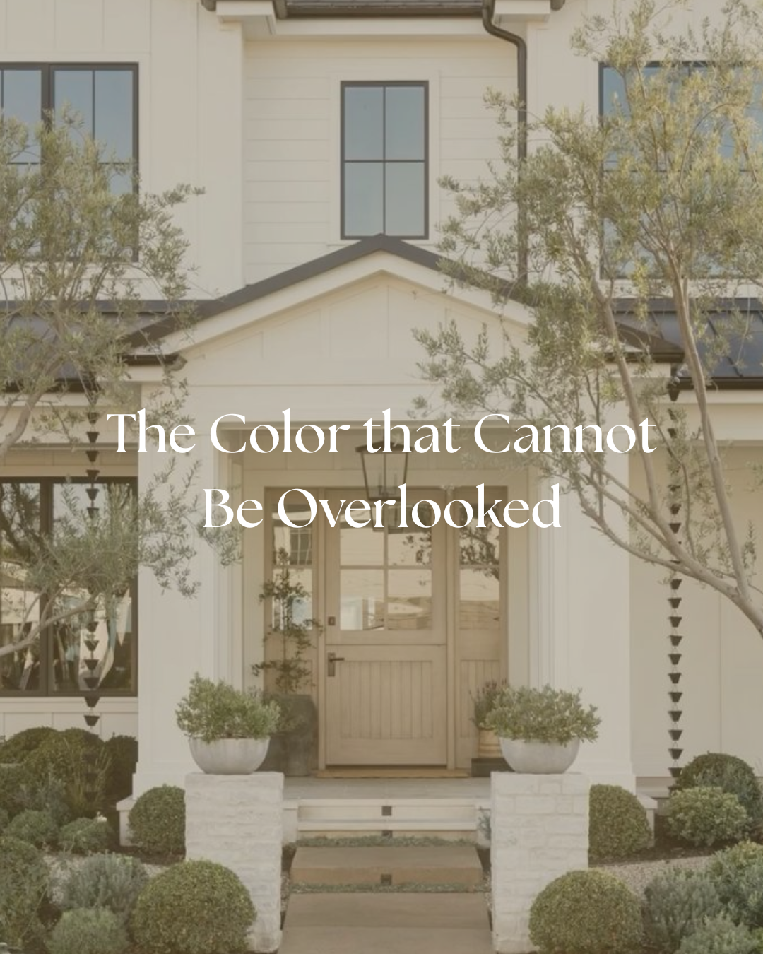 The Color that Cannot be Overlooked