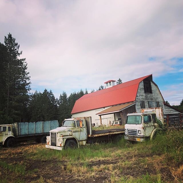 Old barn. Love how the trucks time stamp the Barn. #oregon #barns #oldtrucks #trucks #farms #igers #instagrammers #photo #redroofbarn #photography #art