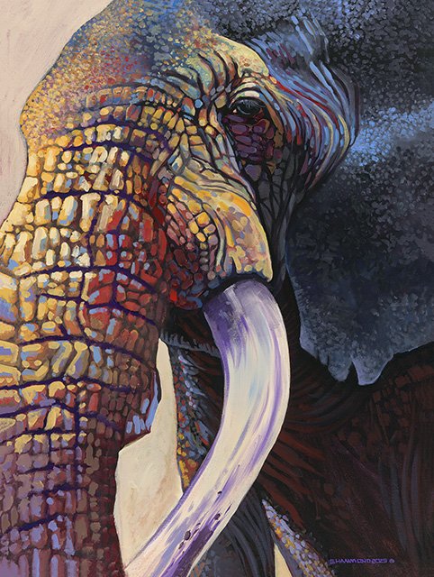 SH Elephant 15x30 - Web.jpg