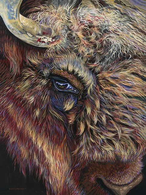 SH Wild Tatanka 15x20 - Web.jpg