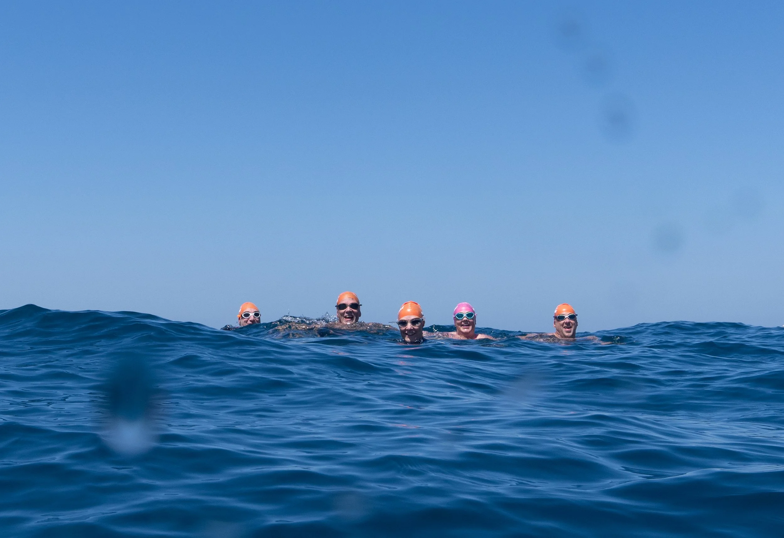 the-rip_swim-10_marciariederer_54301859638_o.jpg