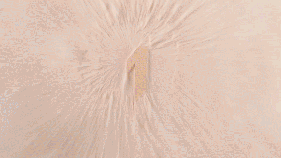 Product Demo - Digital GIF