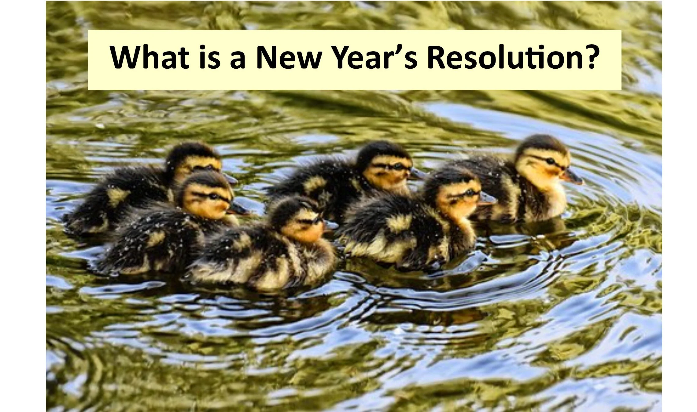 What is a New Year's Resolution?