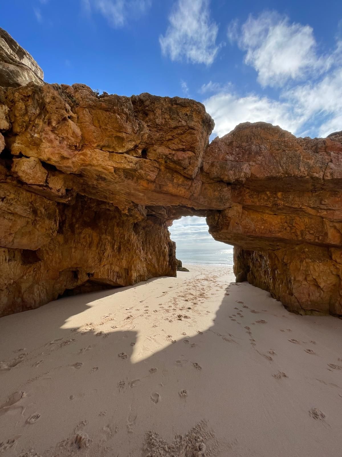 WhatsApp Image 2026-03-26 at 09.26.43.jpeg