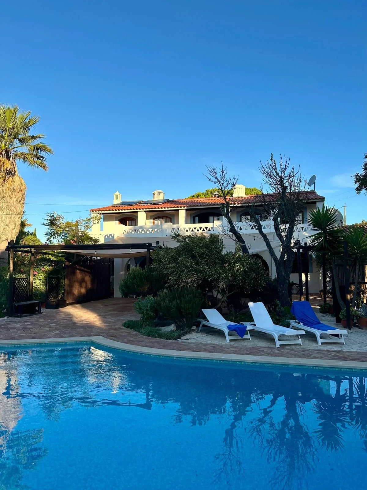 WhatsApp Image 2026-03-26 at 09.26.46.jpeg