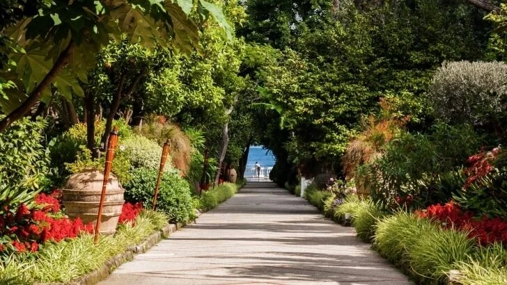 parco-secolare-hotel-sorrento-16e8b072e96695b6e06176a3aa831824-frontend-templ-c39.jpg