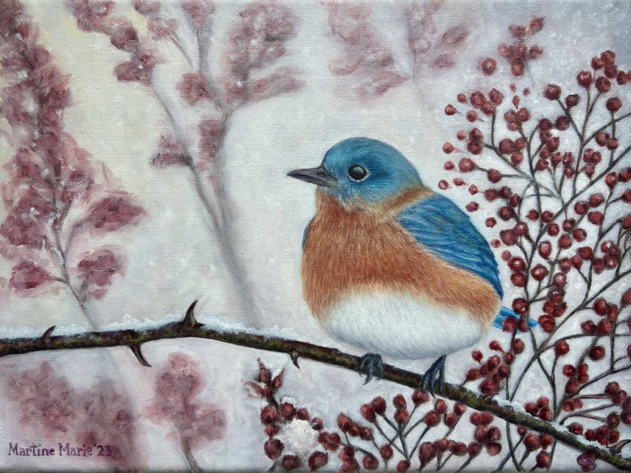 Eastern Bluebird in Winter by Martine Marie