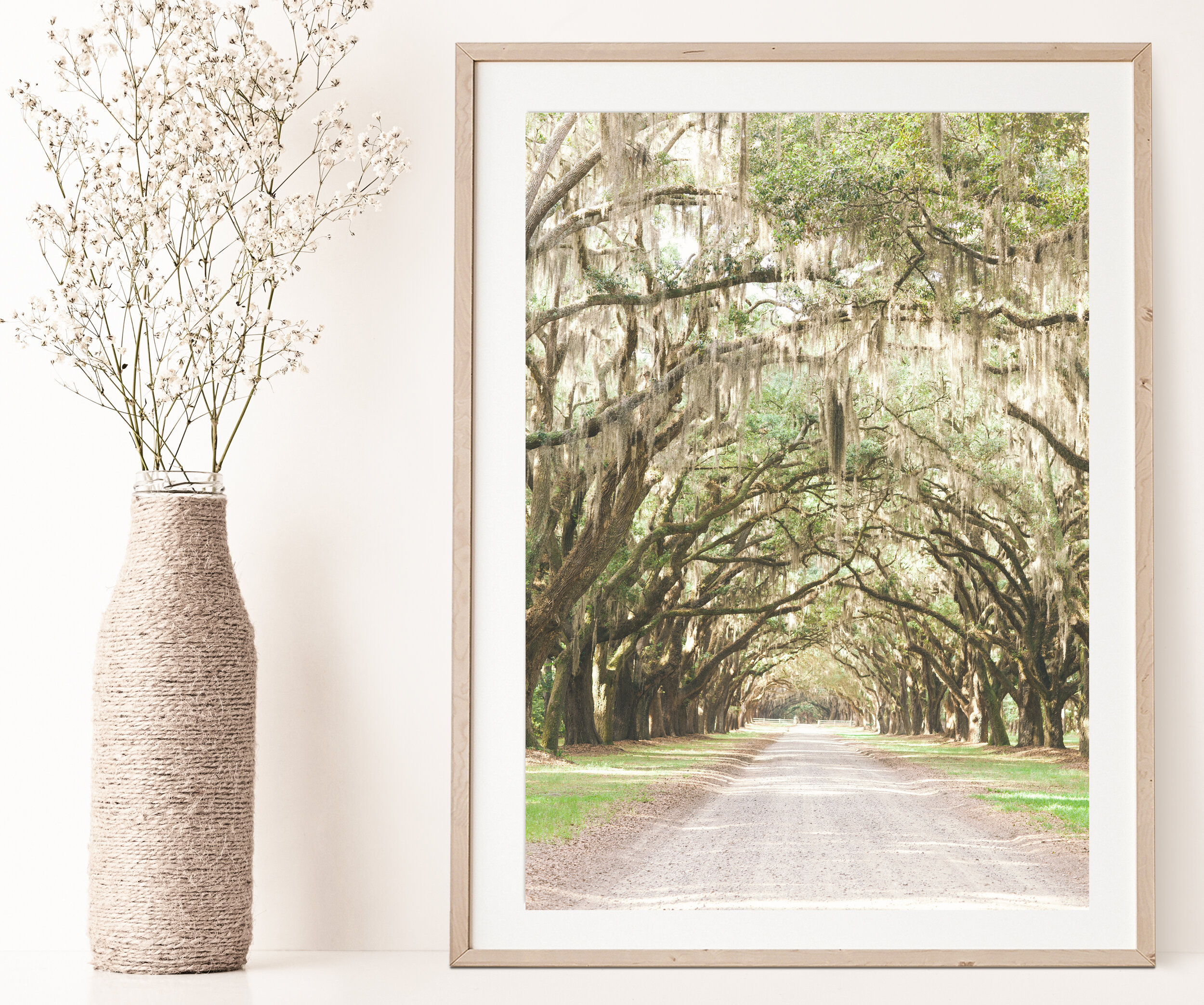 boho_mockup_04wormsloe2crop.jpg