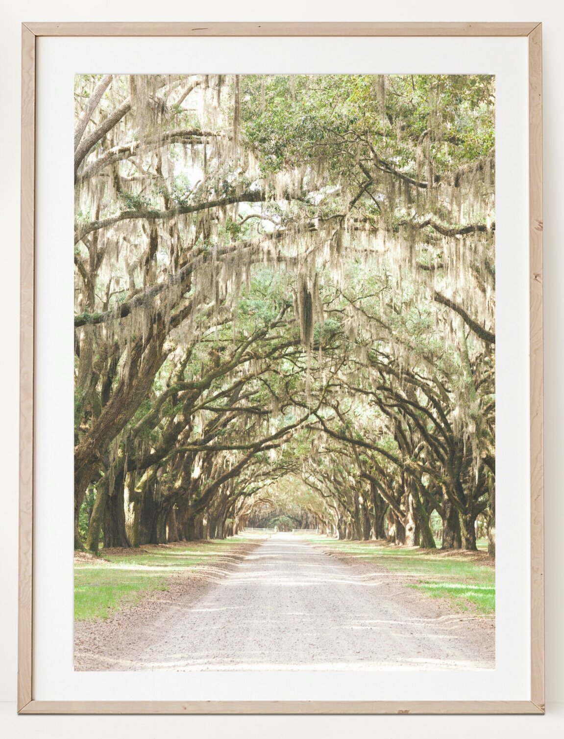 boho_mockup_04wormsloe2.jpg