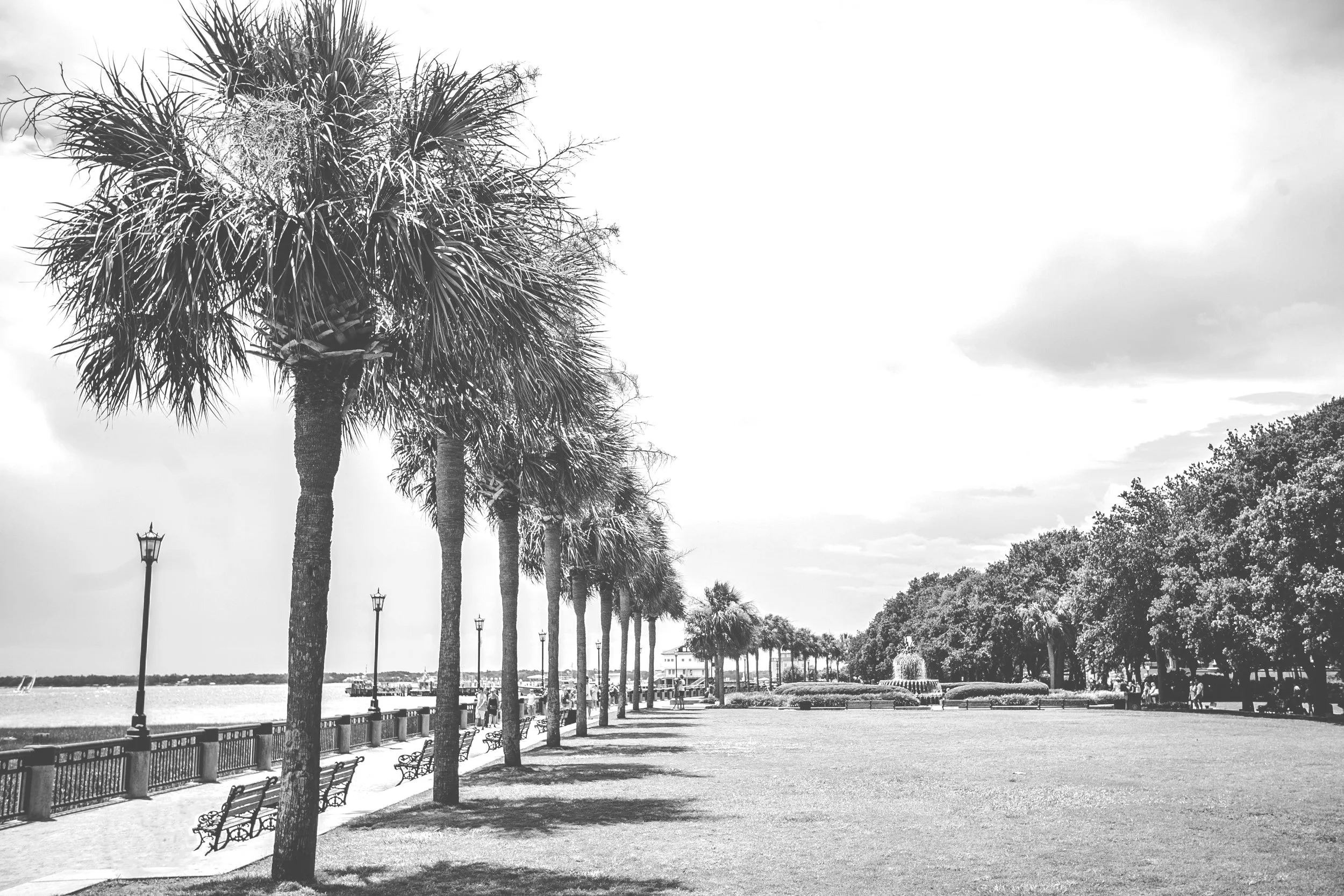 B&WCharlestonWATERFRONTParkKateBowmanPhoto-1 copy.jpg