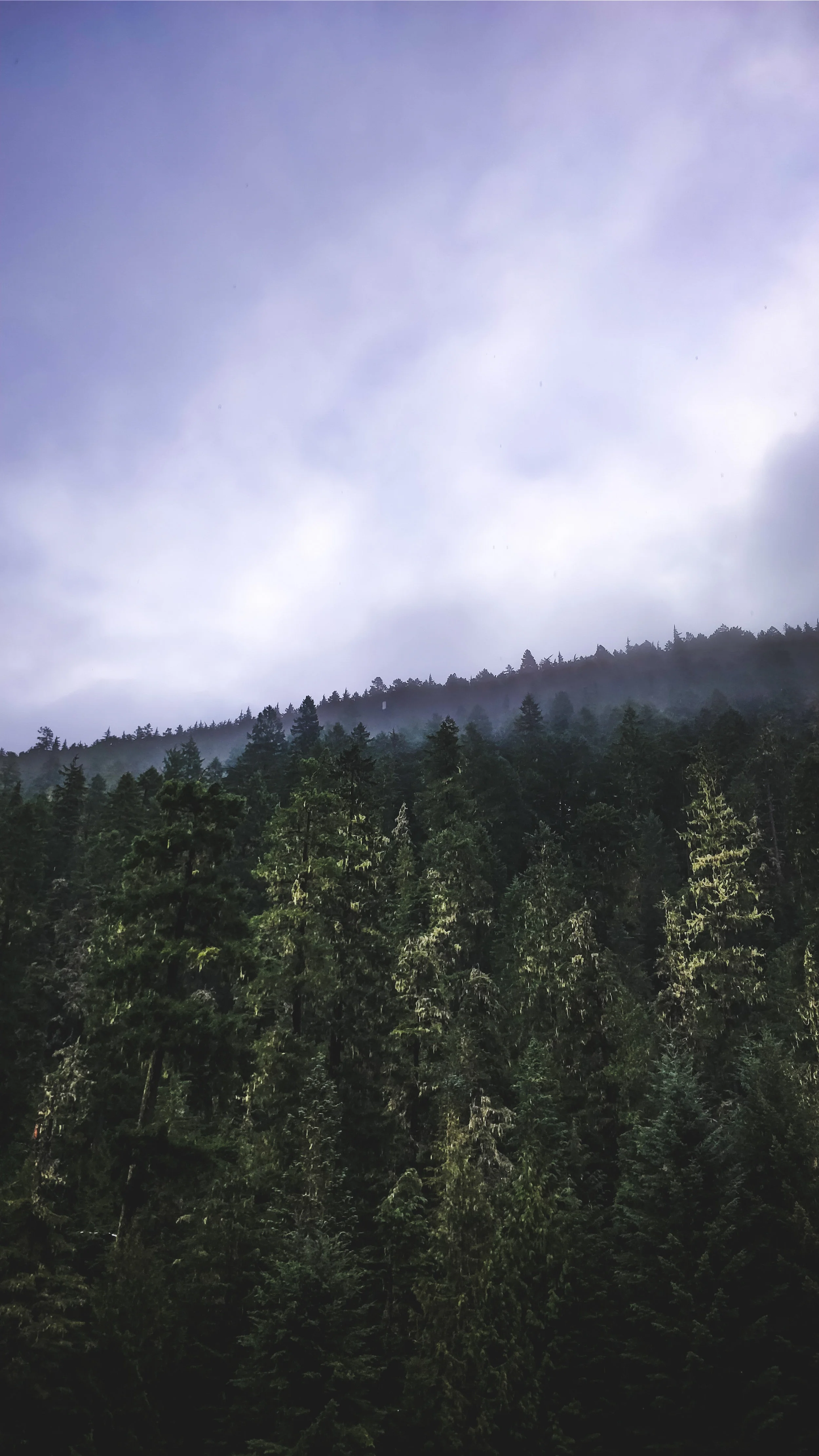 Cheung_Seattle (40 of 51).jpg