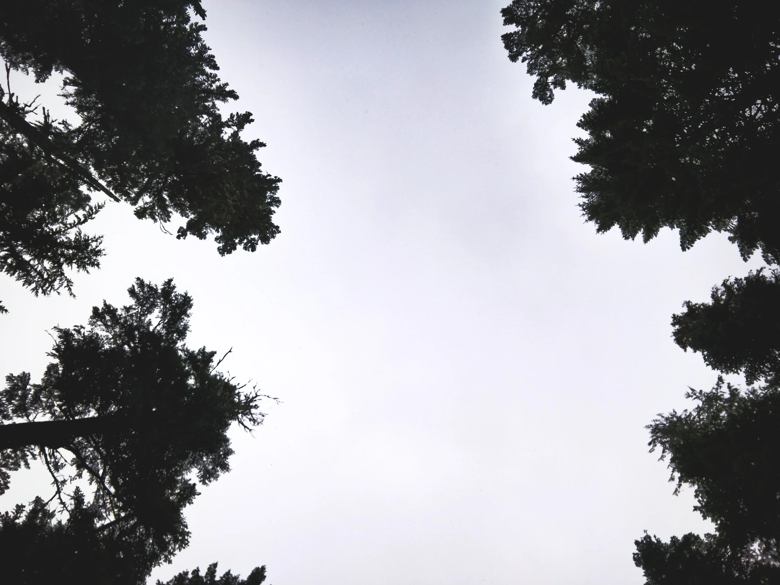 Cheung_Seattle (24 of 72).jpg