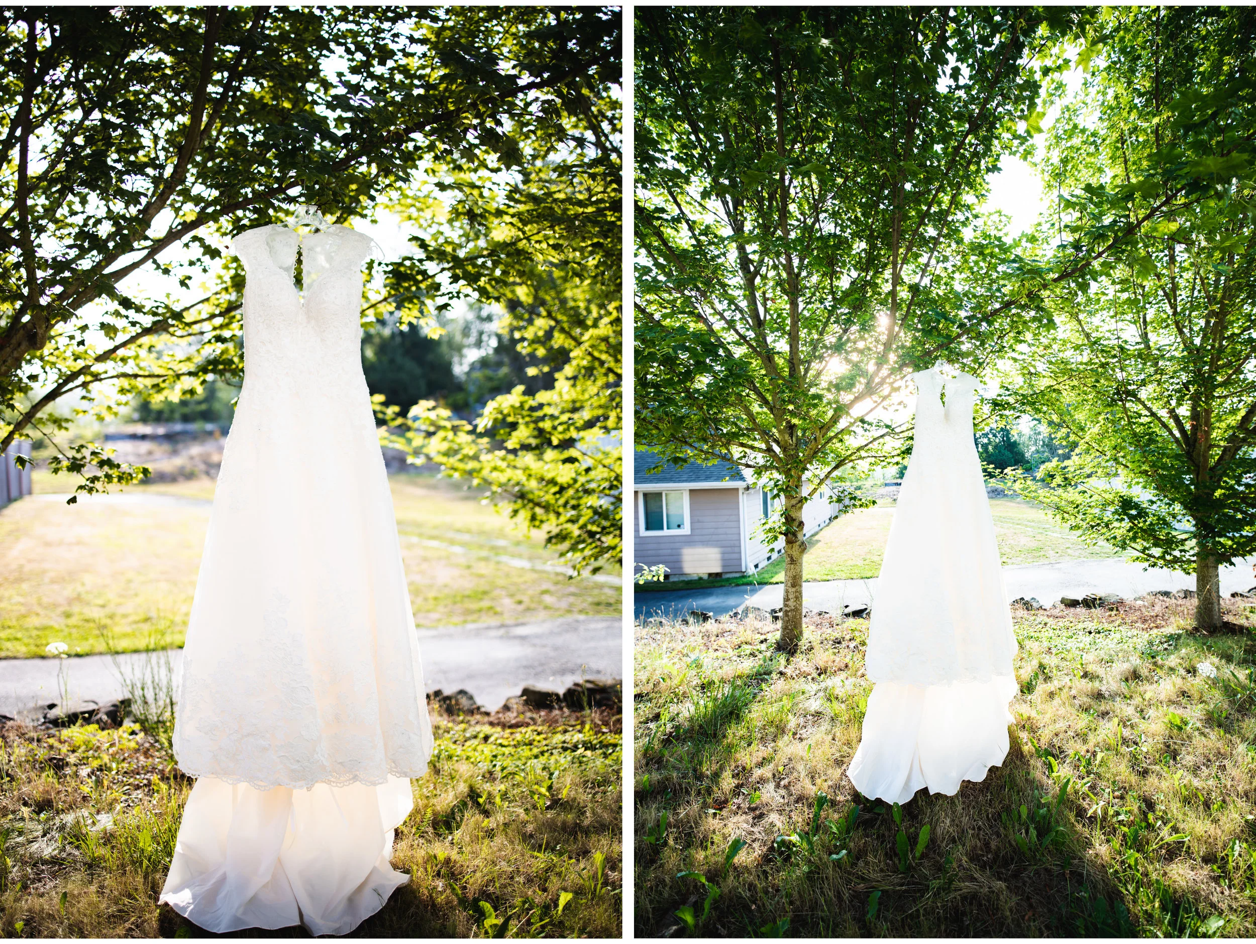 Wedding Dress on Tree.jpg