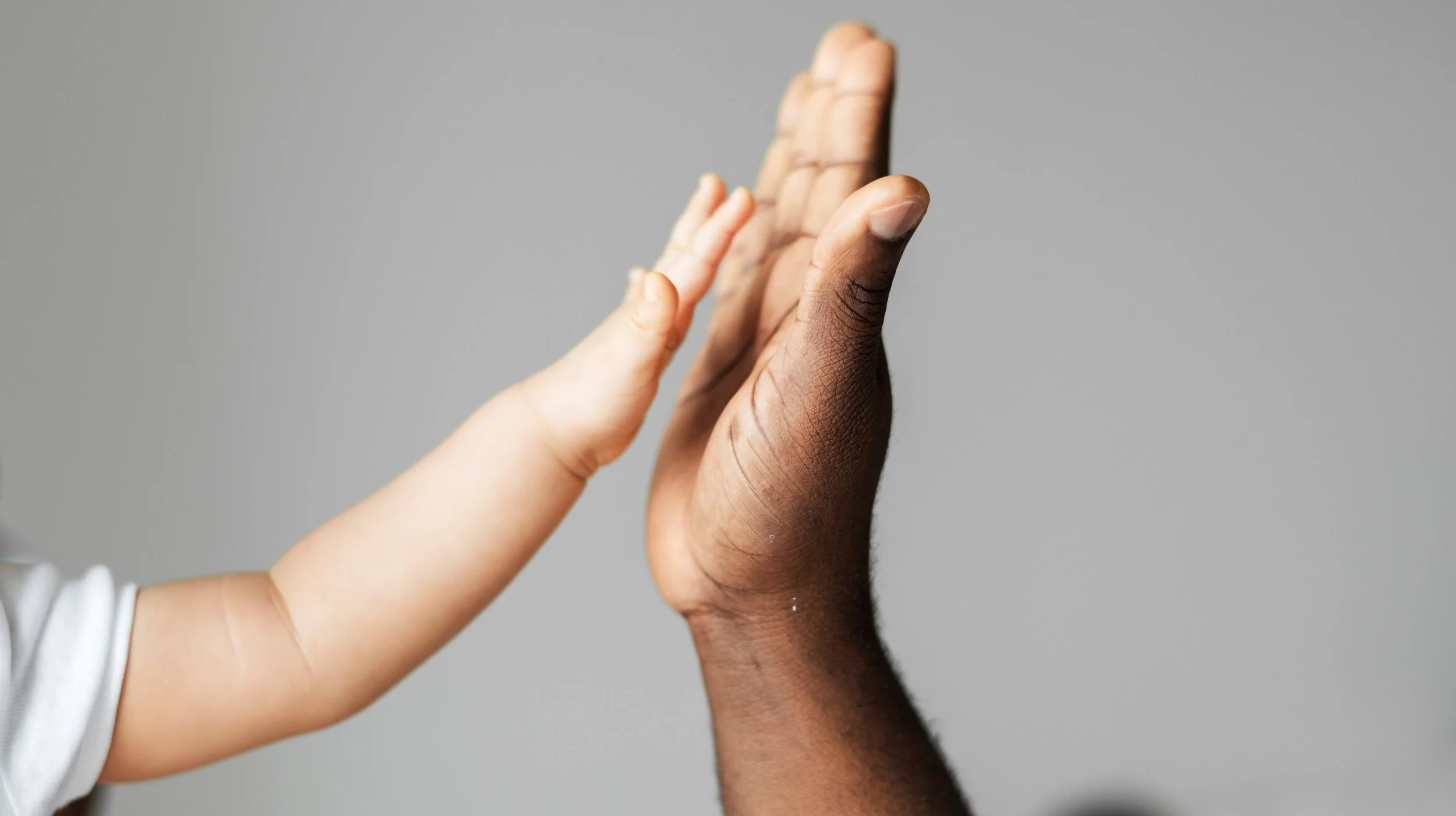 Policy and Program Updates - Young Center.jpg
