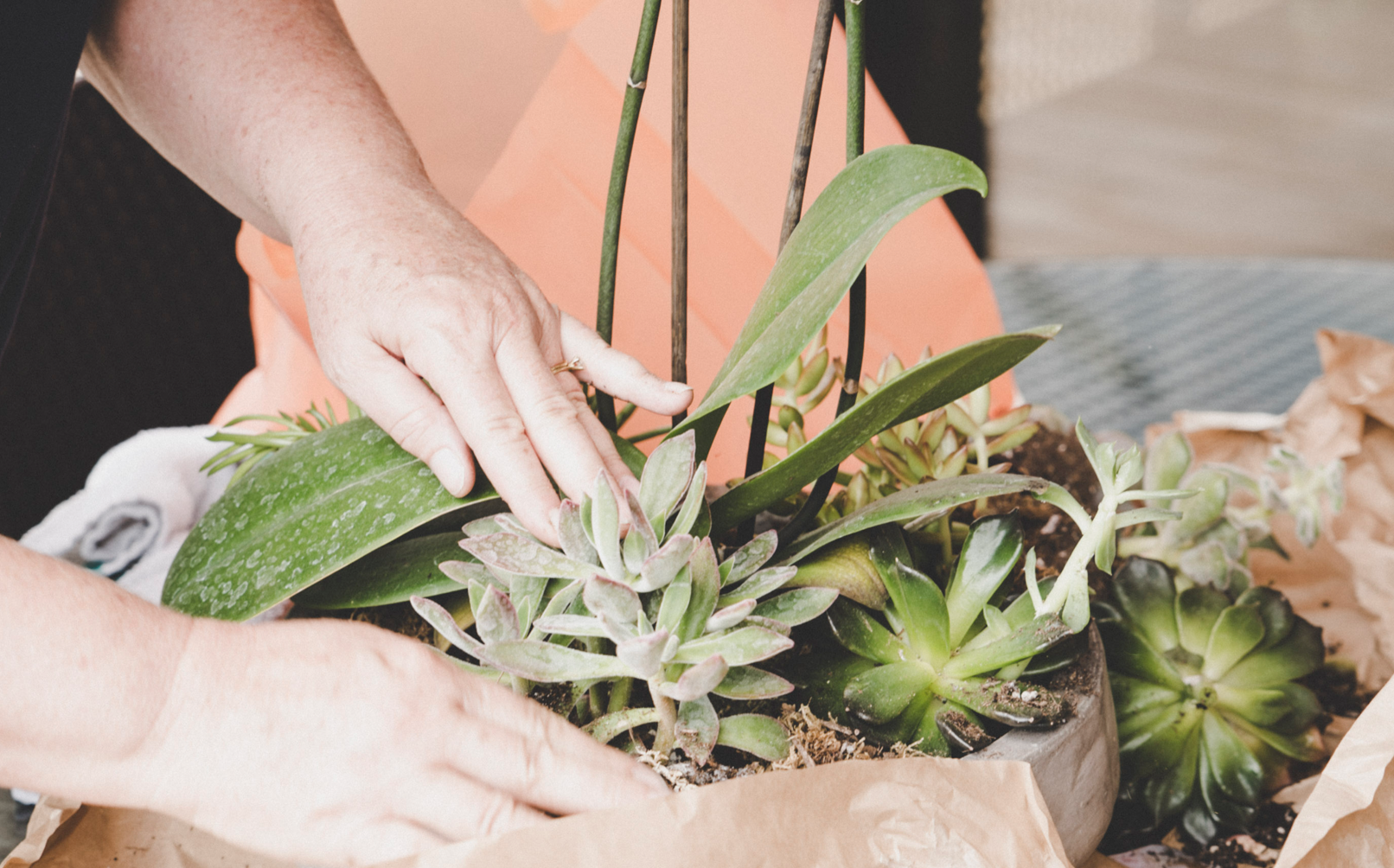 Screen Shot 2017-07-26 at 9.06.55 PM.png