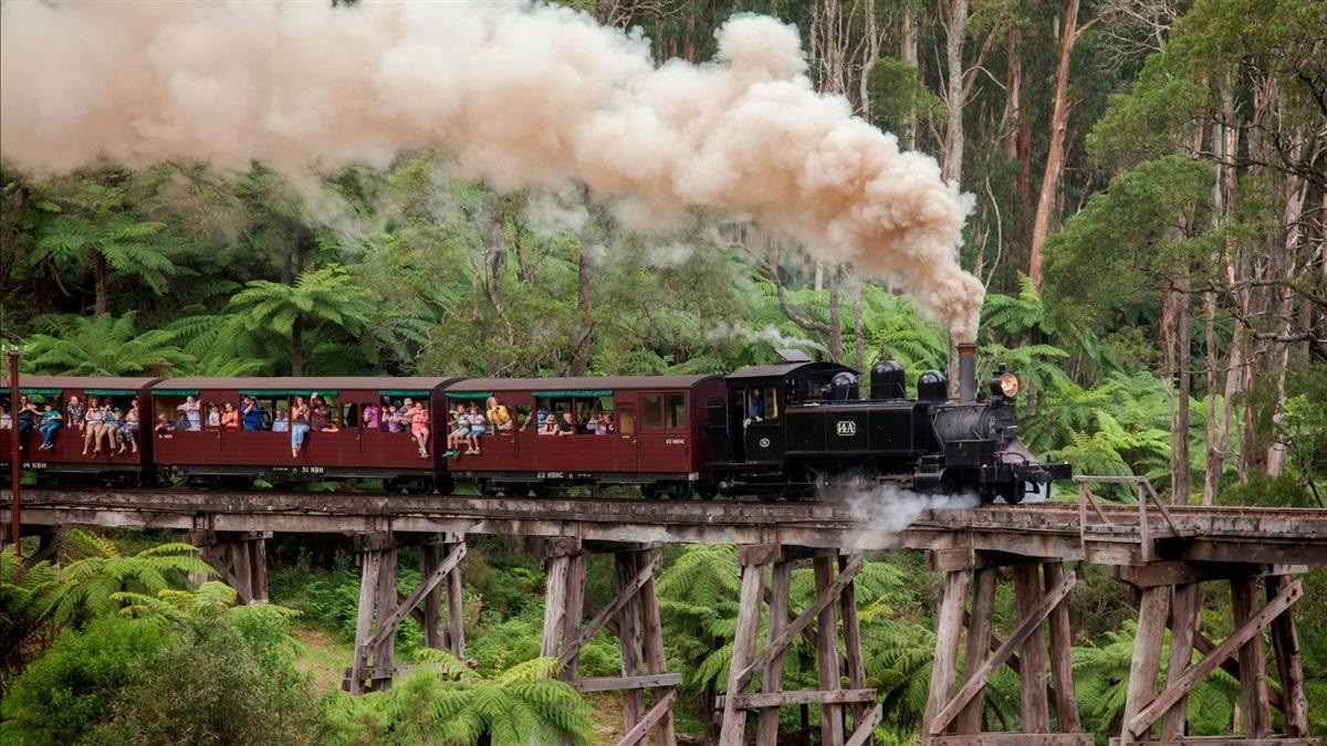 puffing billy.jpeg