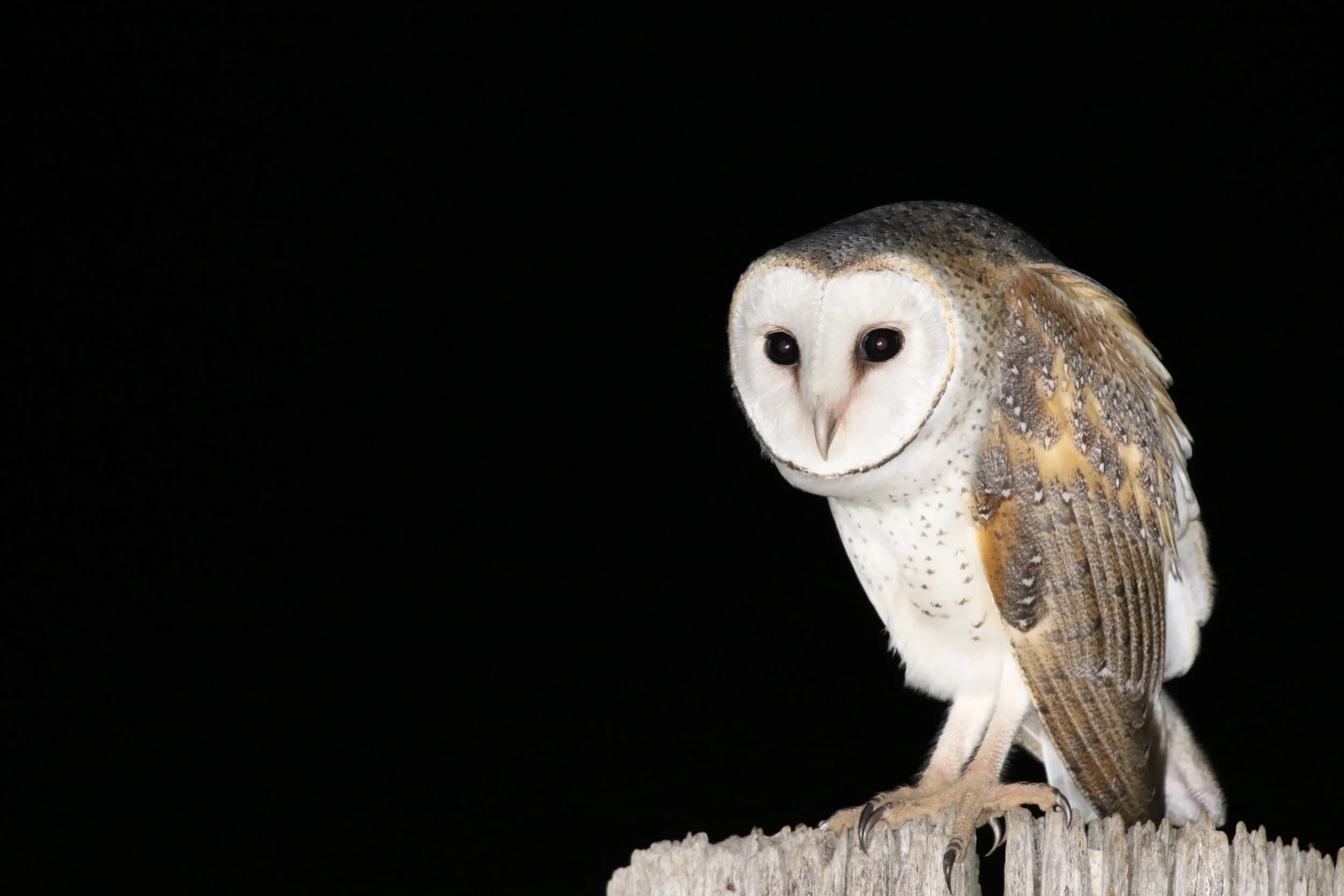 The World Around Us Playgroup Victoria