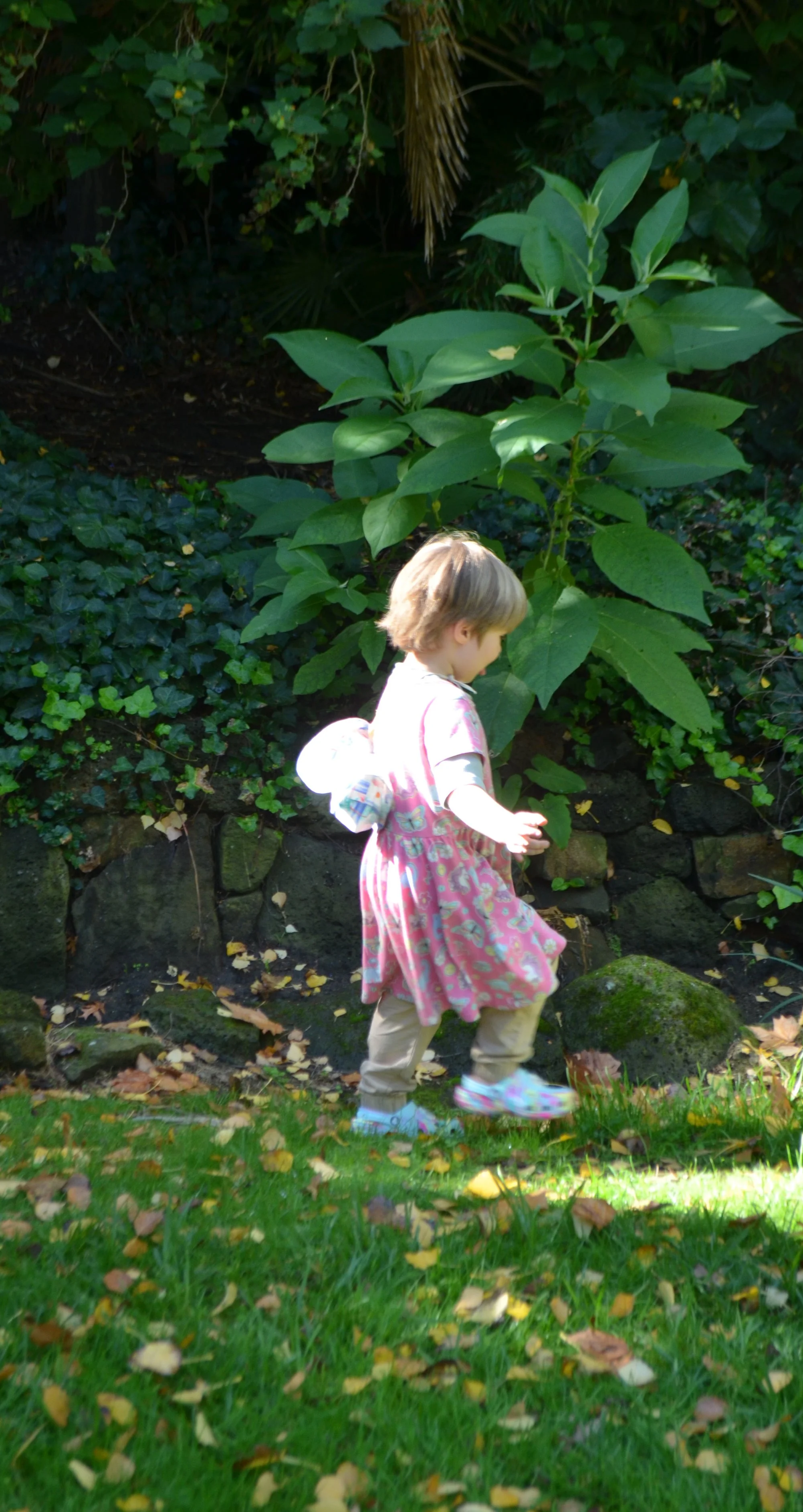 DSC_0053.png