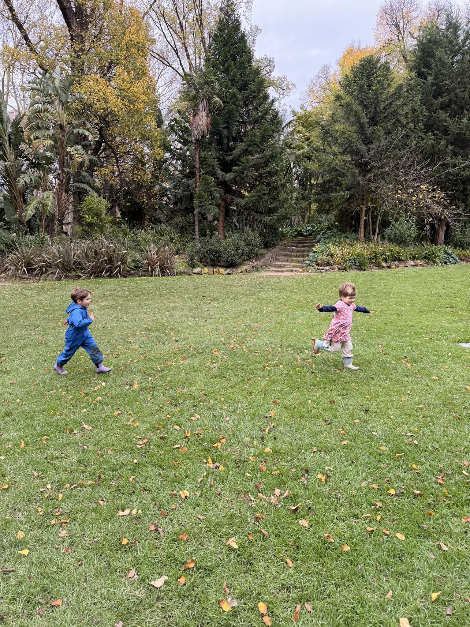 IMG_0439.JPEG