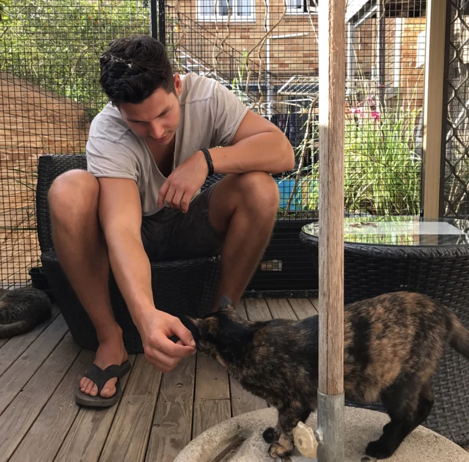 Henrik playing with the kitties.