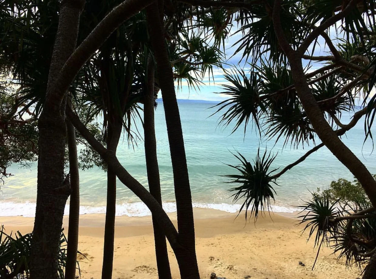 Views from the national park beach walk at Noosa Heads (a beautiful paradise).