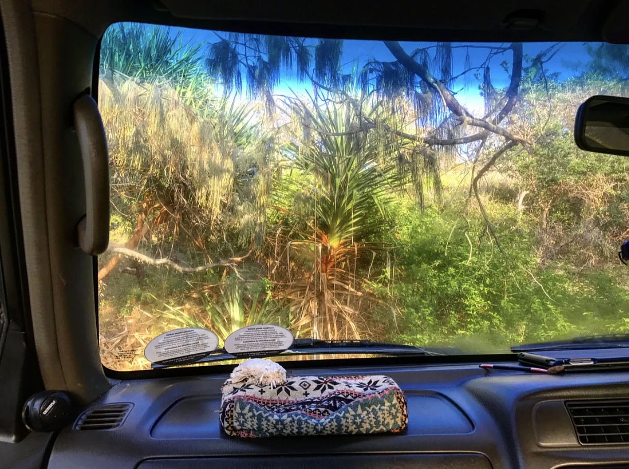 Another day waking up in the wilderness.