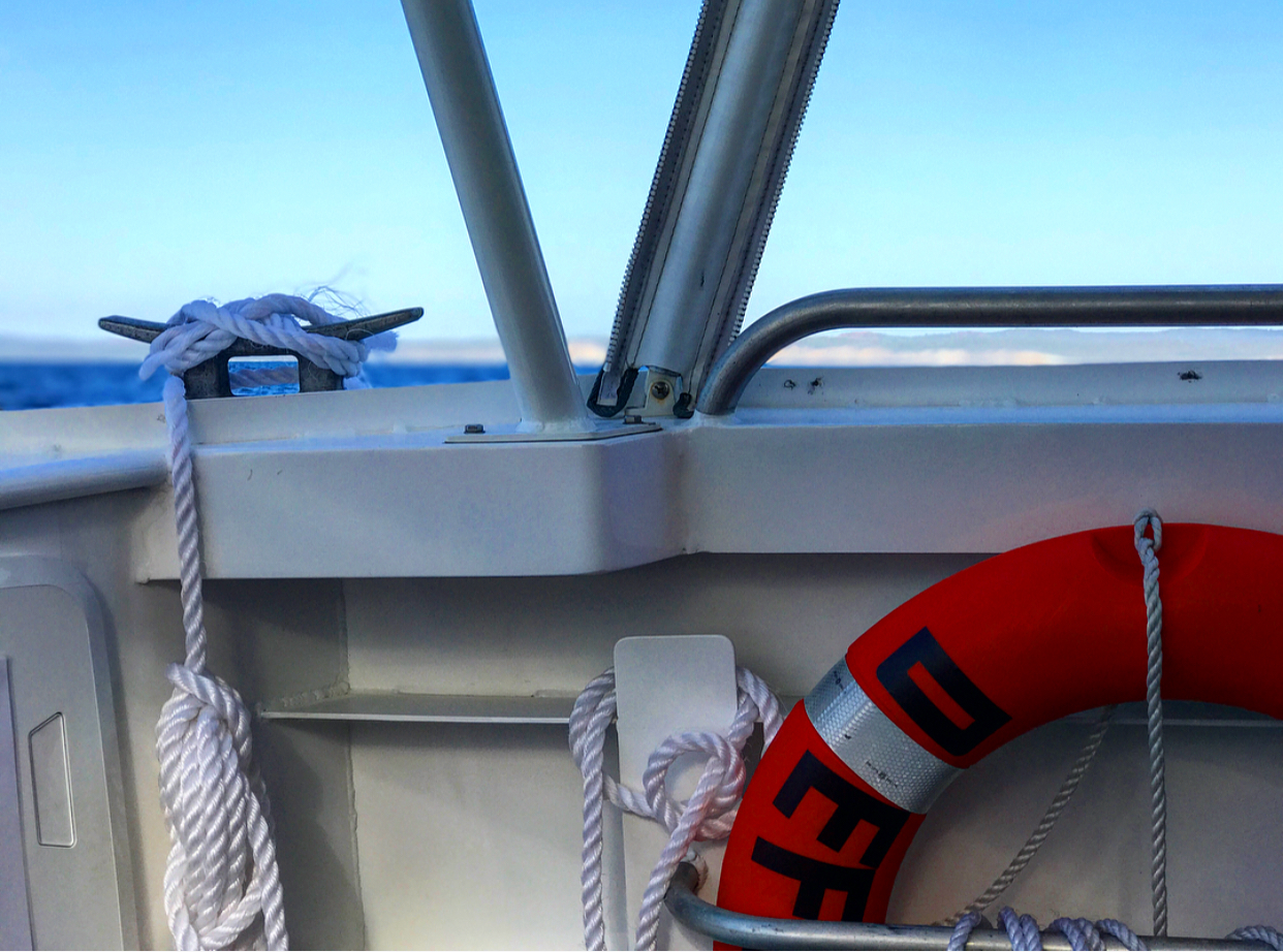 All aboard and ready to spot some whales!