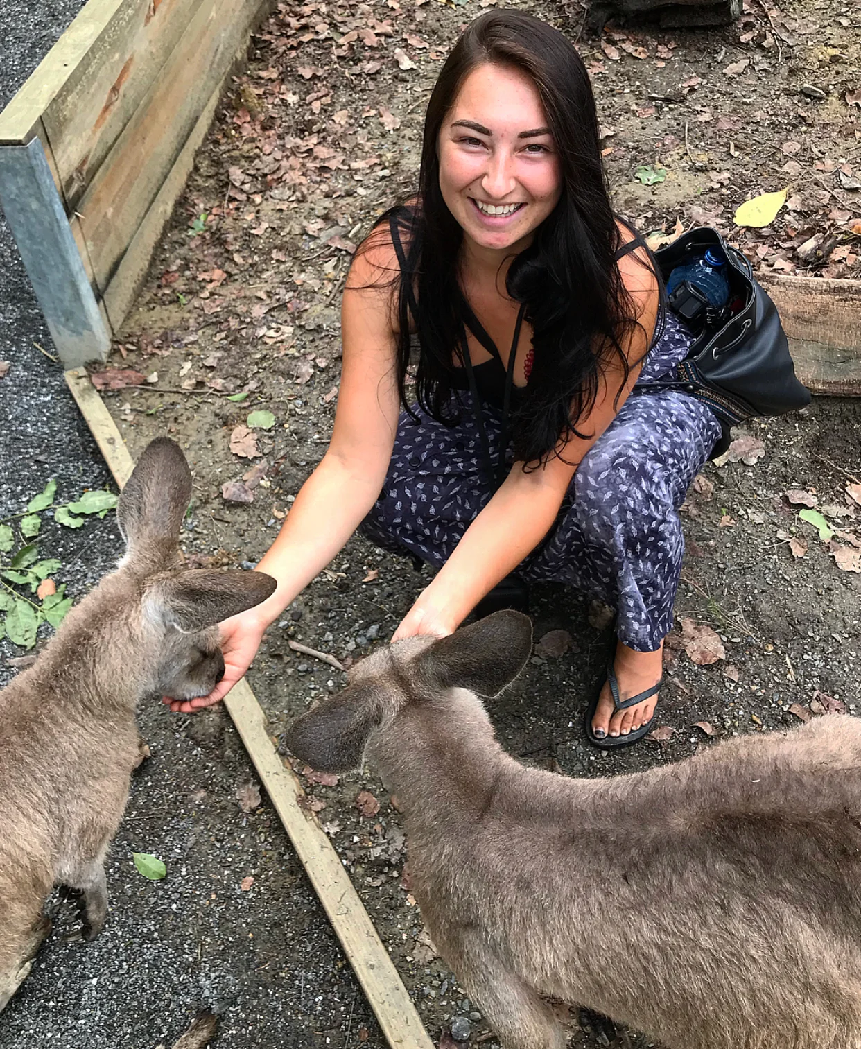 Made some friends.