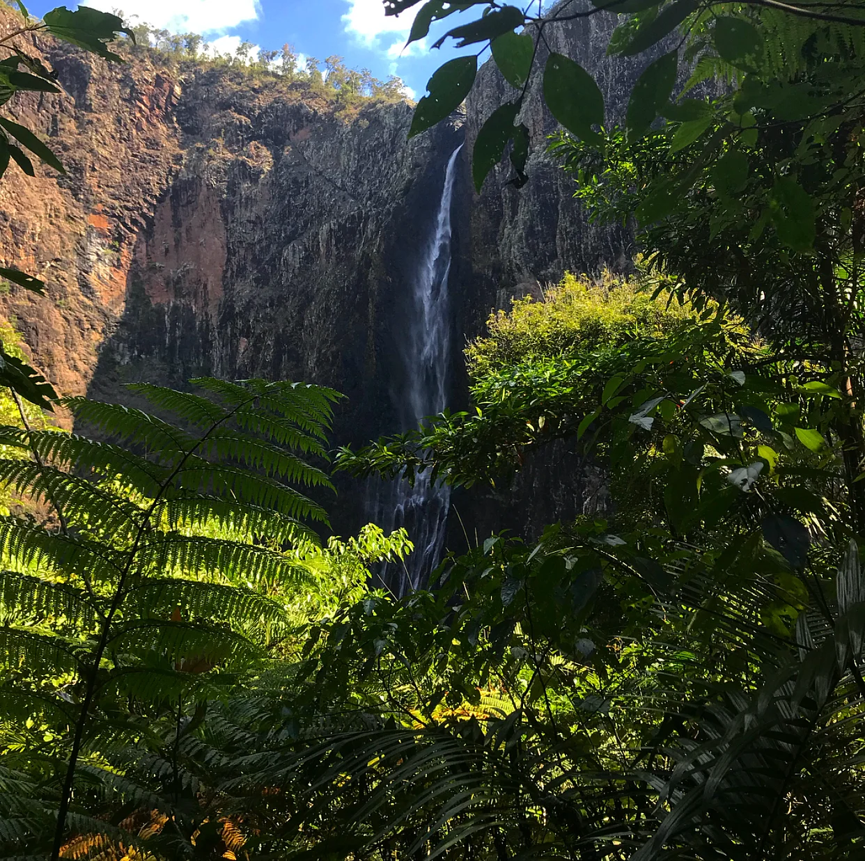 The rainforest treck to reach the bottom of the Falls.