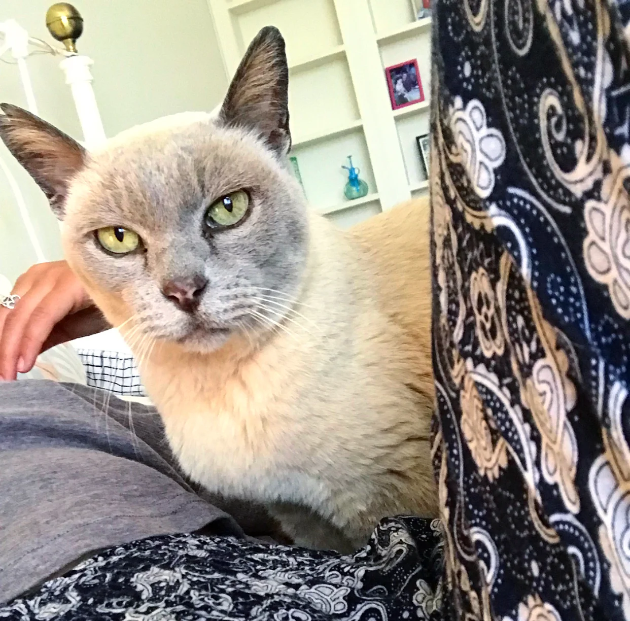 My beloved friend Lily.