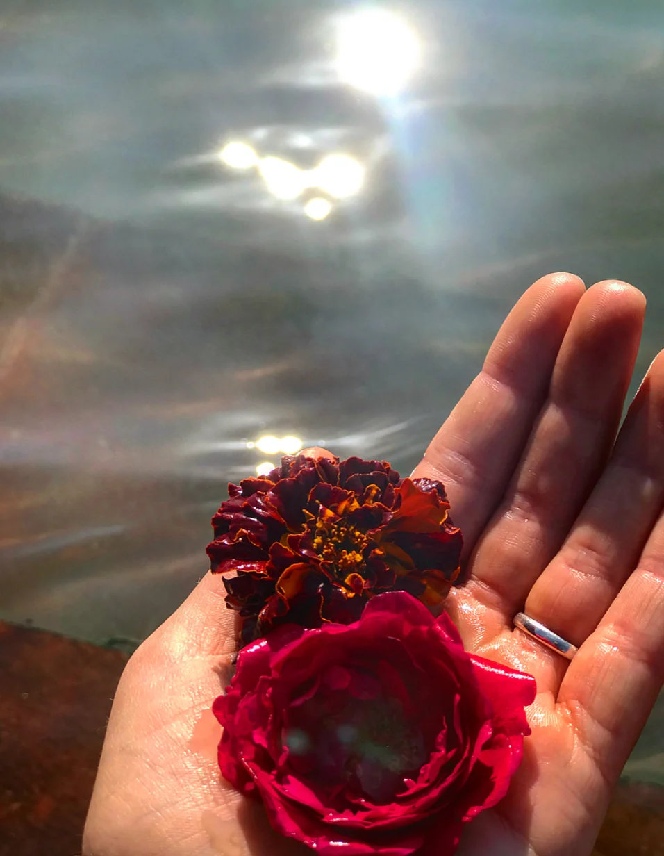 Fresh flowers floating around the Ganges as offerings to Goddess Ganga.