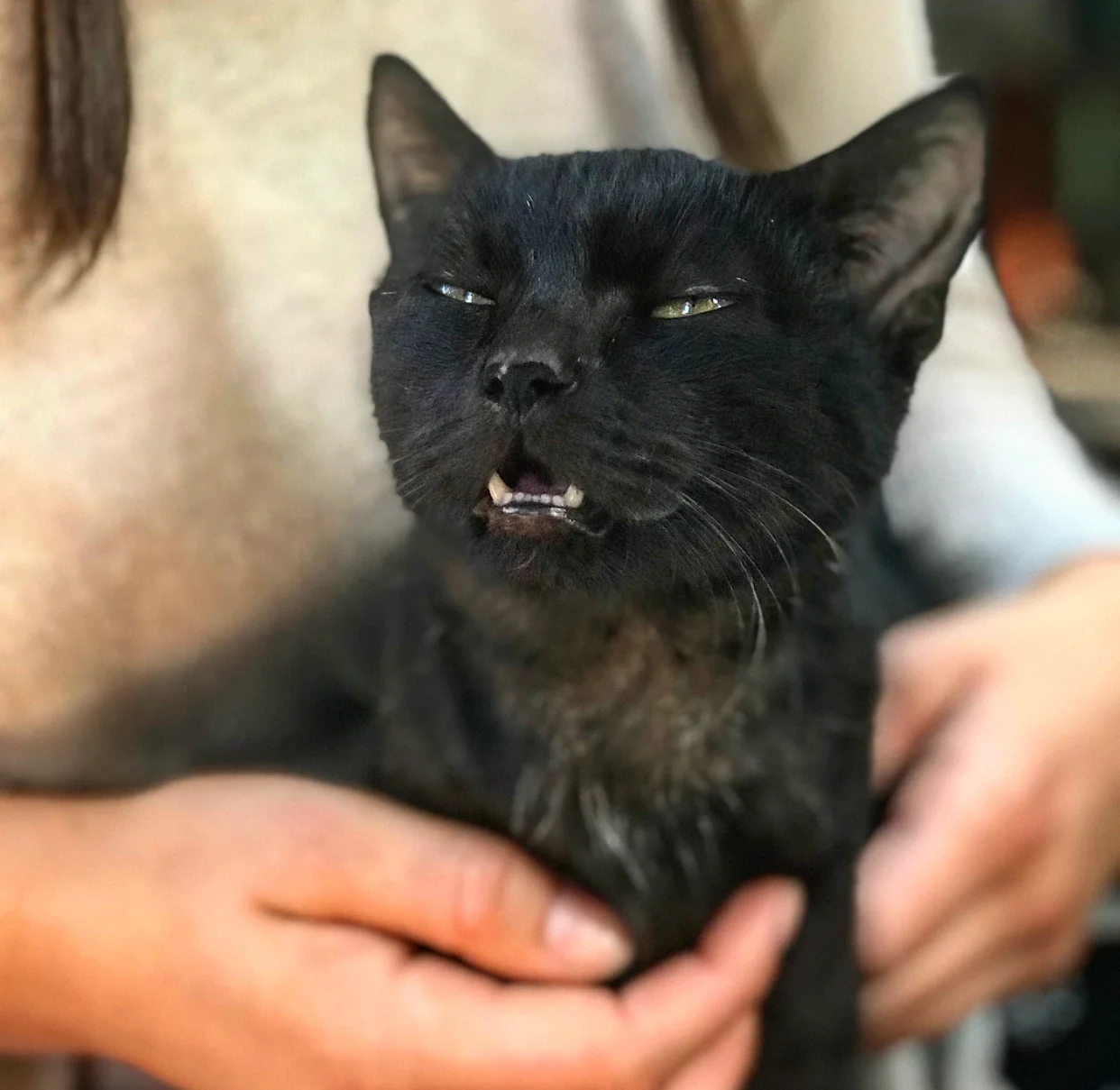 The face of pure pleasure.