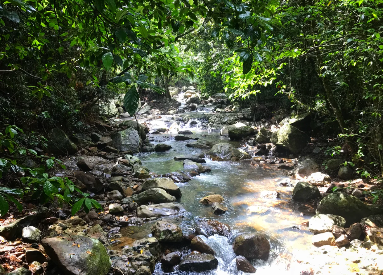 Hiking in nature. 